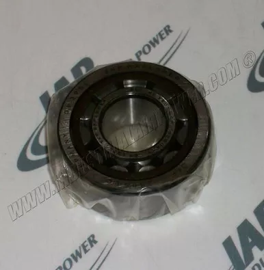 0508-1100-41 Roller Bearing