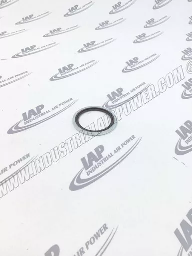 0661-1000-62 Seal Washer