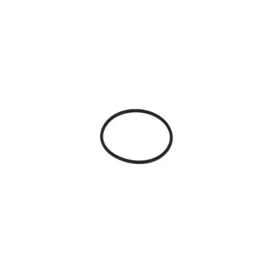 0663-2101-97 O-Ring
