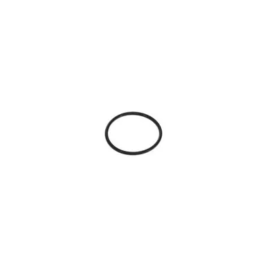 0663-2119-45 O-Ring