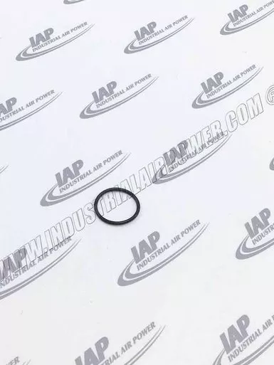 0663-2131-00 O-Ring
