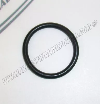 0663-3130-00 O-Ring