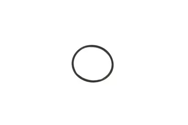 0663-7135-00 O-Ring