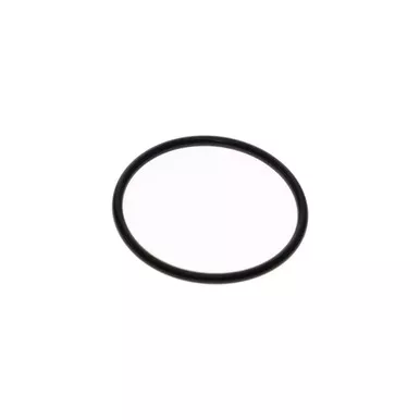 0663-9095-00 O-Ring