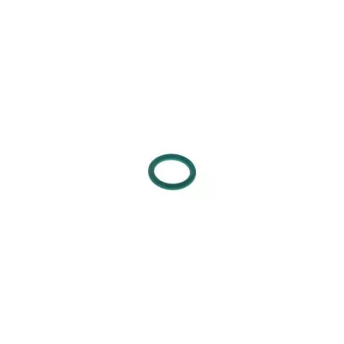 0663-9821-00 O-Ring Anell