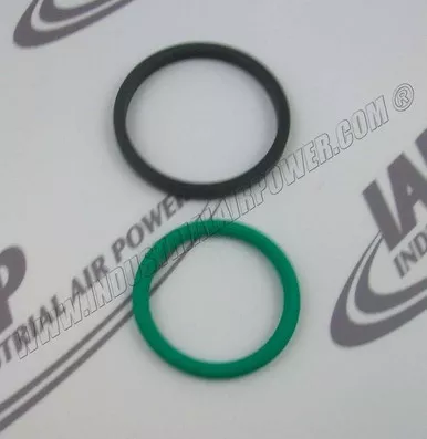 0665-0701-45 Ring Seal