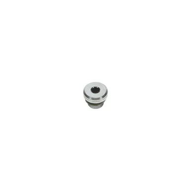 0686-3718-24 Plug G1/4 FKM Sealing