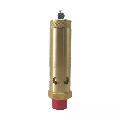 0830-1010-02 Safety Valve