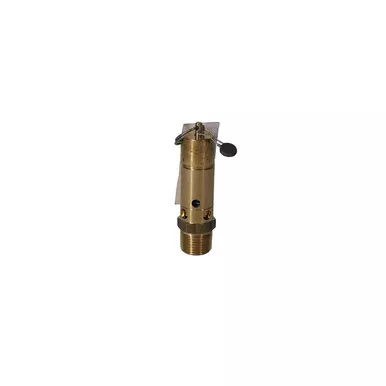 0830-1010-60 Valve Safety