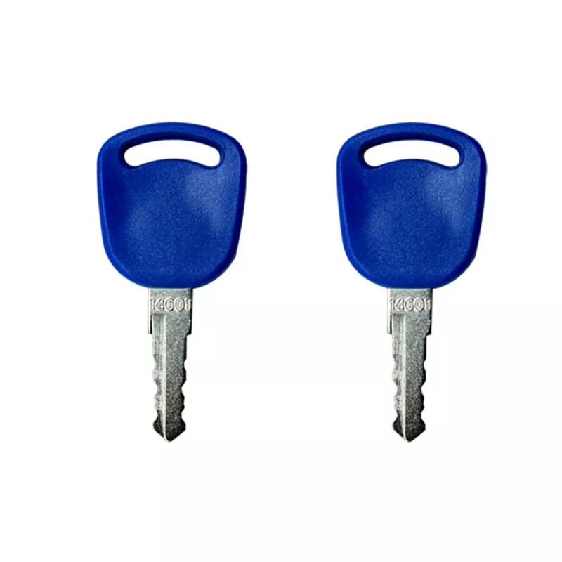 2PCS Ignition Key 82030143For Case