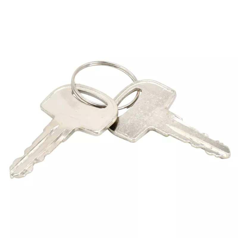 2Pcs Ignition Keys 105-1790 for Terex