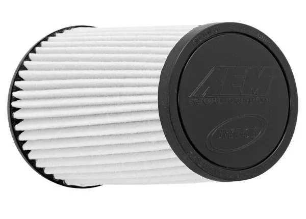 AEM Induction DryFlow Air Filter (21-2029BF)