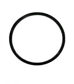 Binks 83-1419 | Gasket
