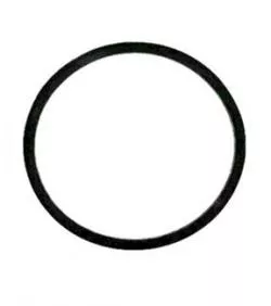 Binks 83-1420 | Head Gasket 5 Gal