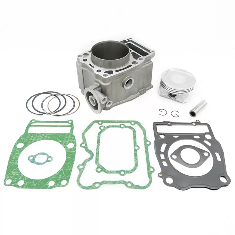 Cylinder Piston Engine Kits 3089966 for Polaris
