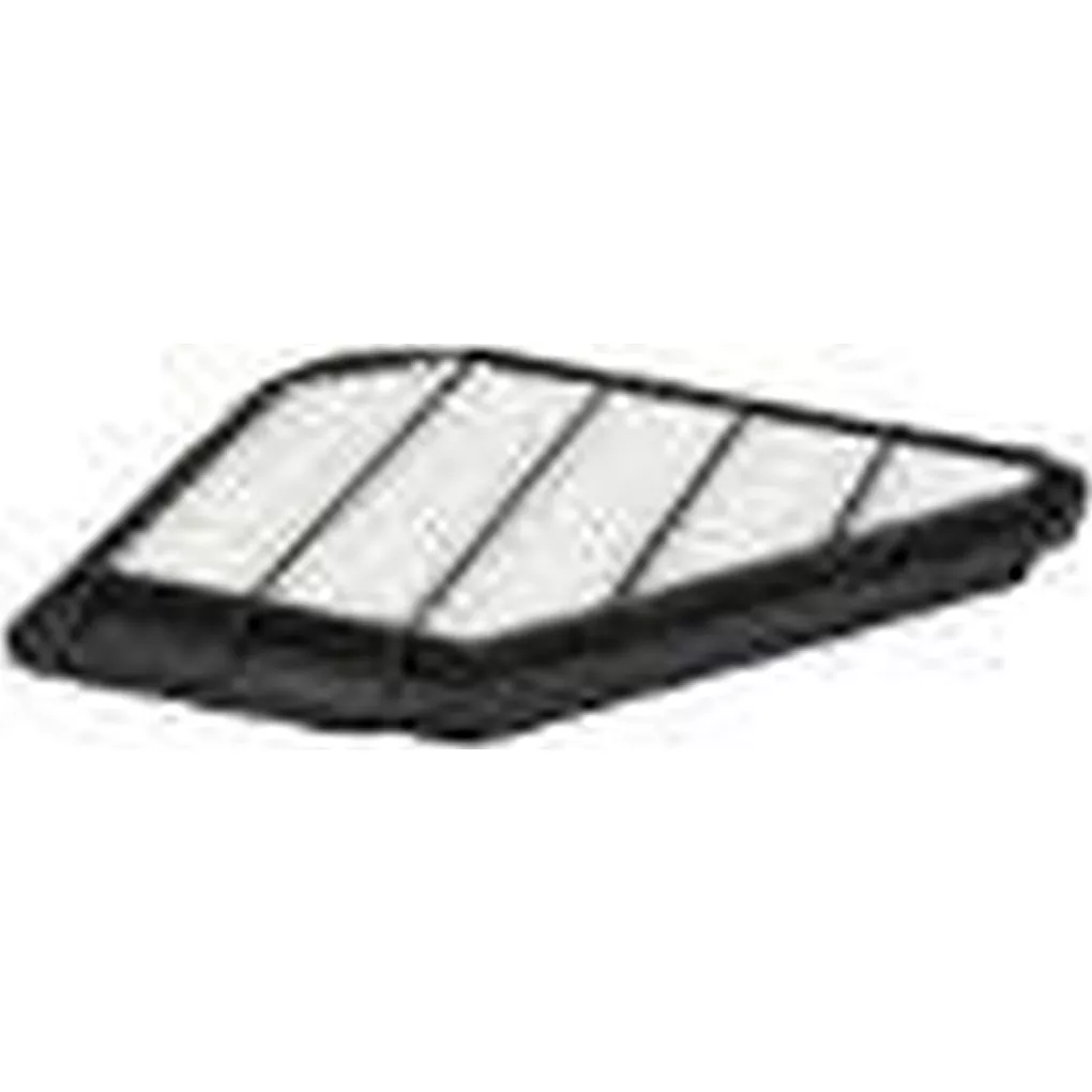 FRAM CA10110 Panel Air Filter