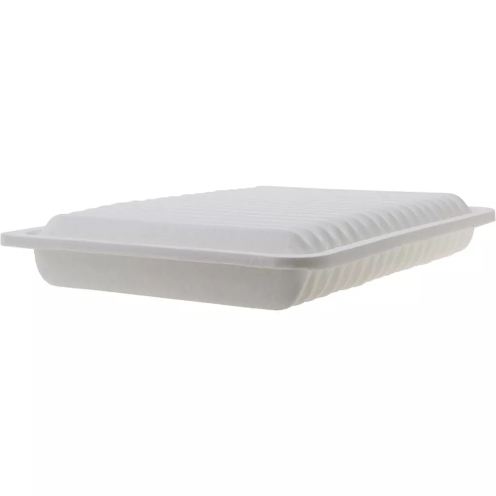 FRAM CA10163 Panel Air Filter