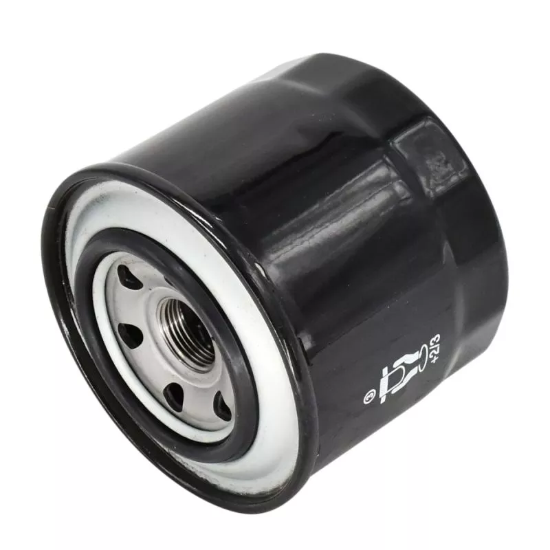 Fuel Filter P550048 for John Deere
