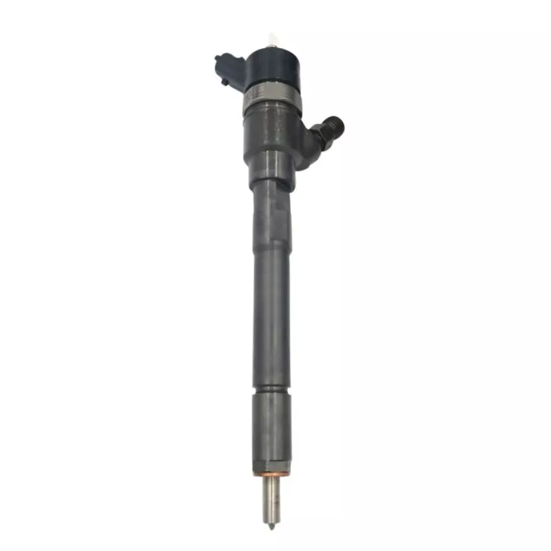 Fuel Injection 0445110253 for Hyundai