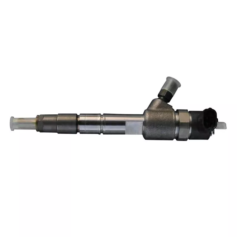 Fuel Injection 0445110313 for Bosch for Foton