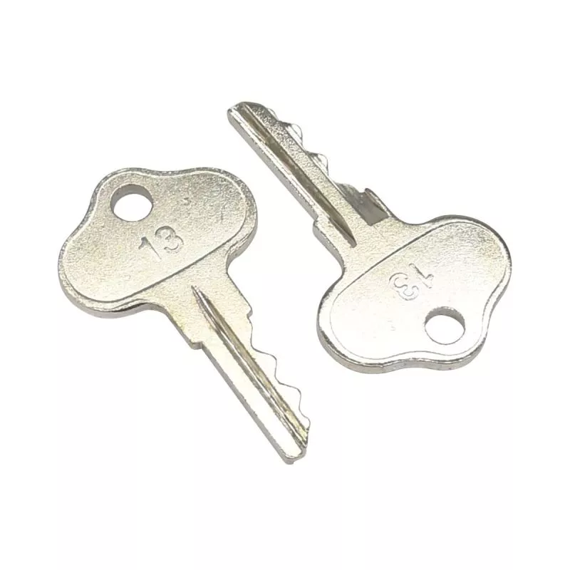 Ignition Keys 2PCS for Cub Cadet