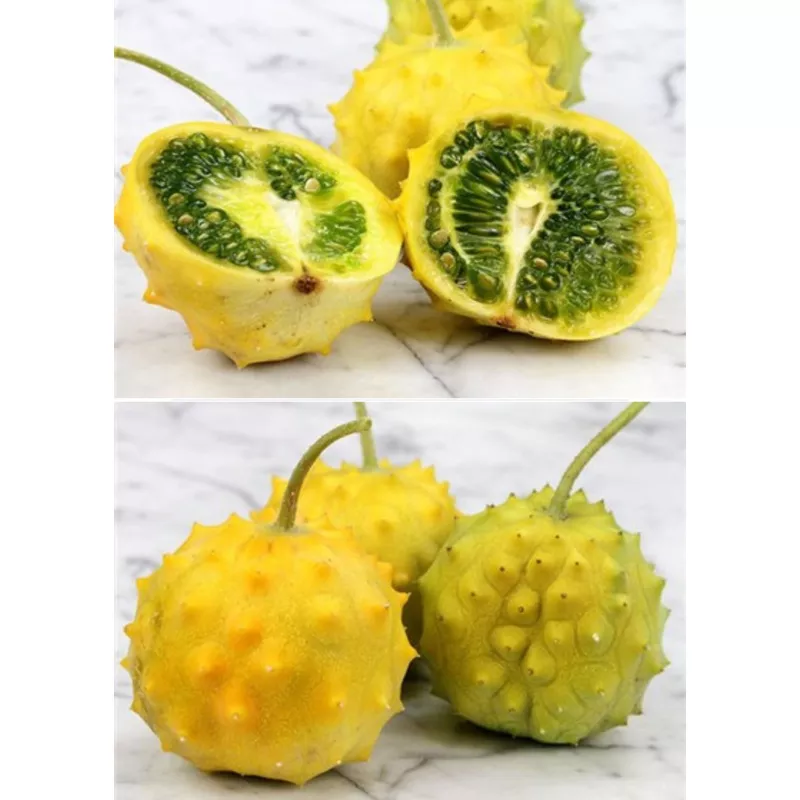 Kiwano, Yellow Round (Cucumis metuliferus)
