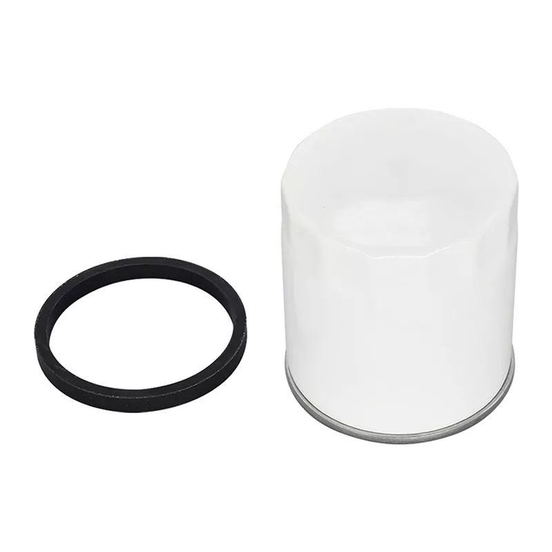 Oil Filter P502022 for JLG