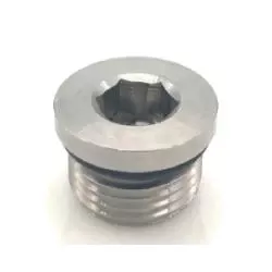 STAINLESS ADAPTERS Countersunk Hex Head Plug 316 -04 MORB HOLLOW HEX PLUG