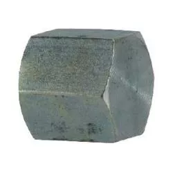 STAINLESS ADAPTERS Hex Pipe Cap 316 3/8 NPT HEX PIPE CAP