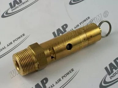 SV-1000-150 Safety Valve, 1 Inch X 150#