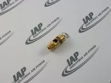 SV-250-110 Safety Valve, 1/4 Inch, 110#