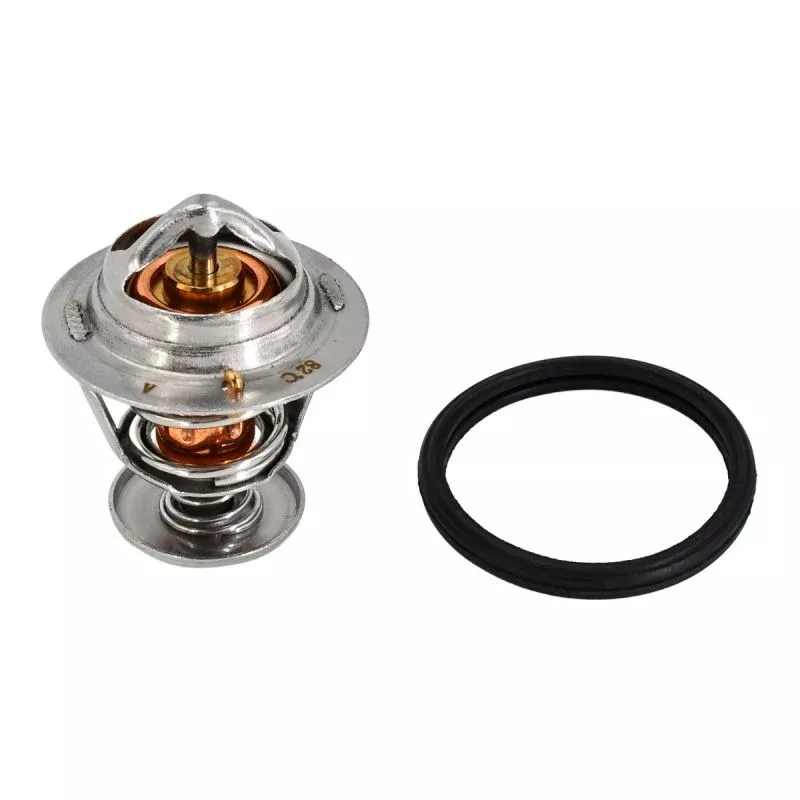 Thermostat 119589 for Thermo King