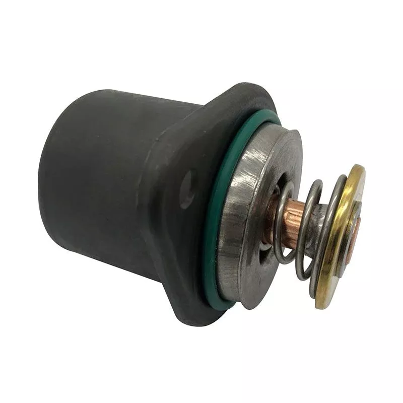 Thermostat 1830256C93 for Perkins