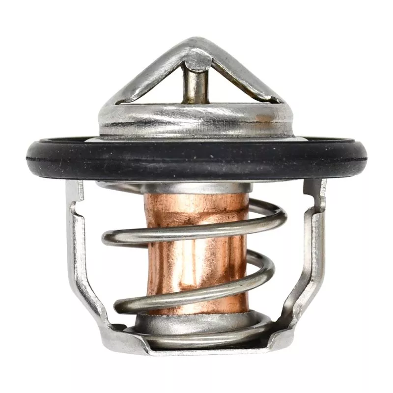Thermostat 7052496 5413948 for Polaris