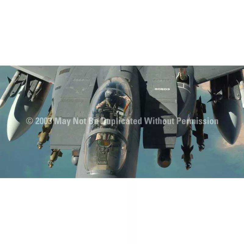 Window Graphic - 30x65 Strike Eagle Canopy 2
